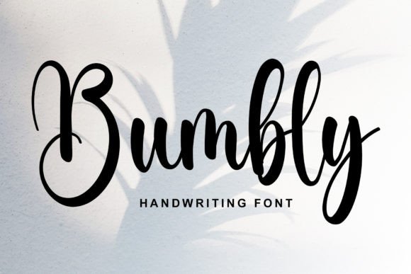Bumbly Script Amp Review: A Designer's Take on Modern Branding