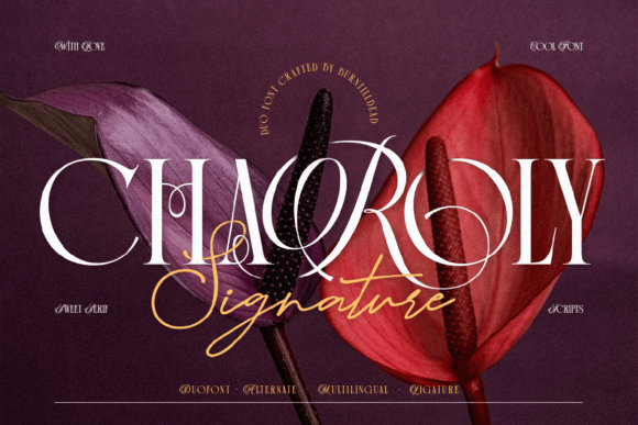 Charoly Signature: A Serif for Modern Editorial Design
